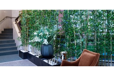 מלון בוטיק ג'וזף  Joseph hotel tlv