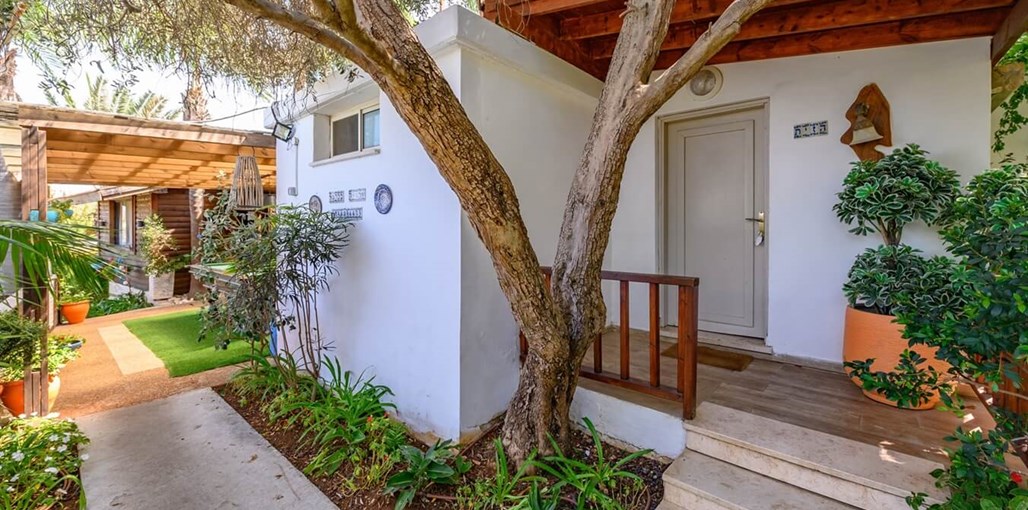 שלווה בכרמל הזית (15).jpg