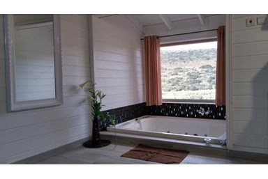 נופי כלנית - הסוויטה