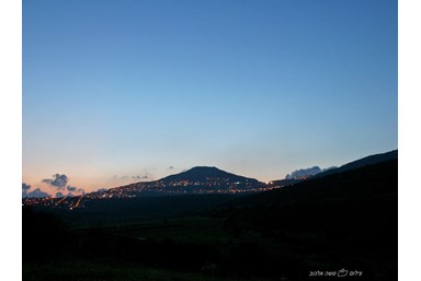 נופי כלנית - הבריכה והחצר