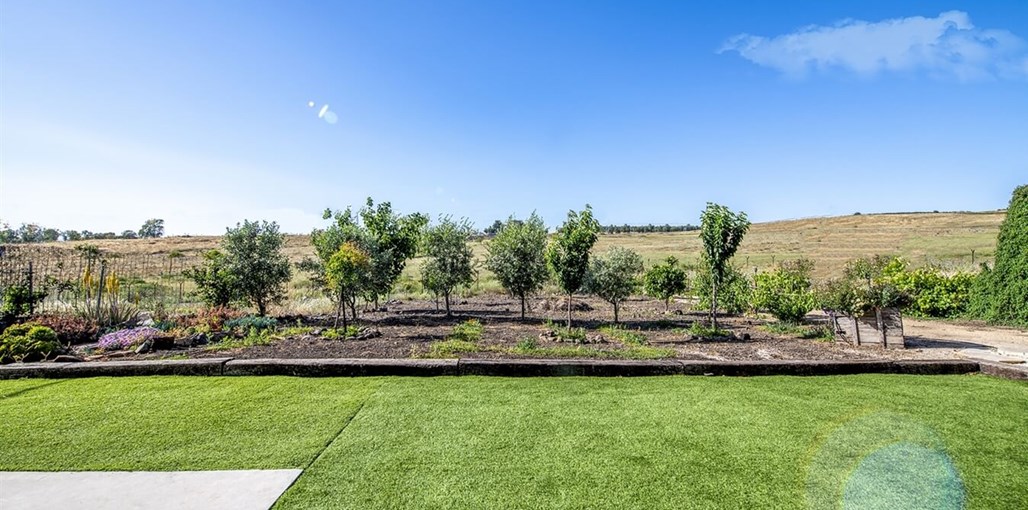 קדמת הגולן קדמת חדש 22.5 (15).jpg