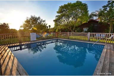 אלת הגליל - החצר והבריכה