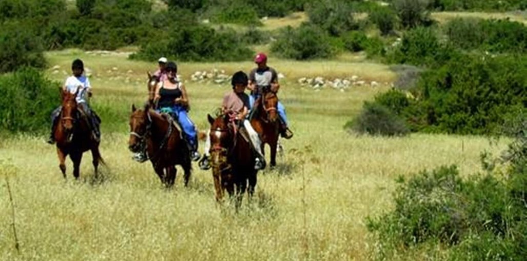בית החופש בשריגים בית הנופש (15).jpg