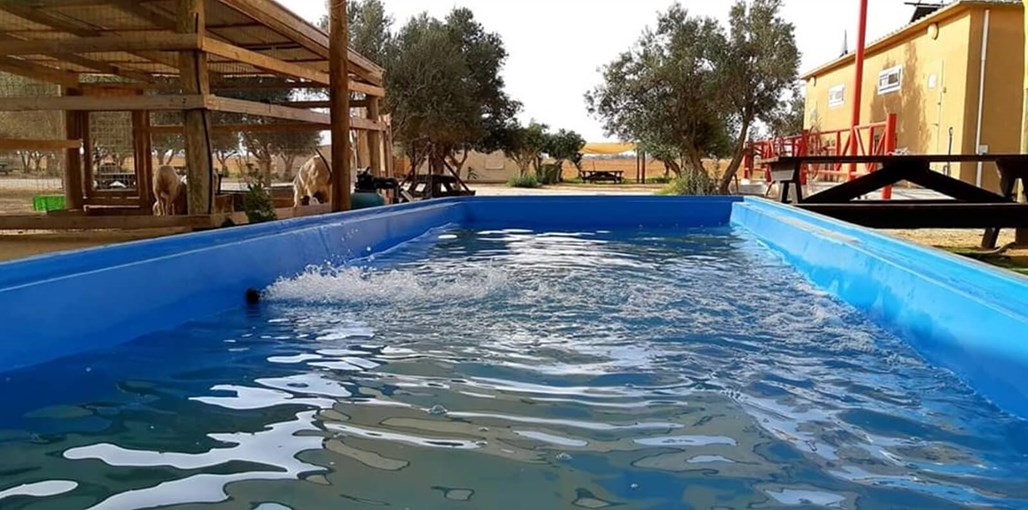 חאן נעמ"א נעמא  (10).jpg