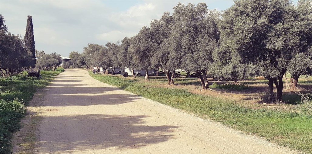 חאן נעמ"א נעמא  (8).jpg