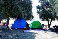 חאן נעמ"א image_26029_d04a3654c5c3482ebe54e558eae5bea9.jpeg