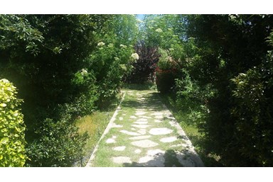 בקתות קסם בלבן - הבריכה והחצר