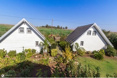 בקתות קסם בלבן - הבריכה והחצר