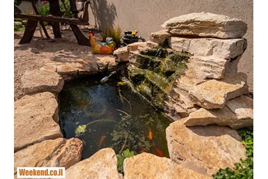 נופש שלו בנוף כנרת - בריכה פרטית, טרסה וחצר