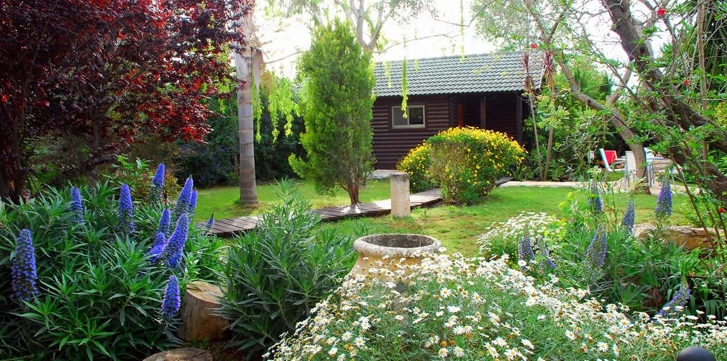 אוטופיה אוטופיה - חצר (1).JPG