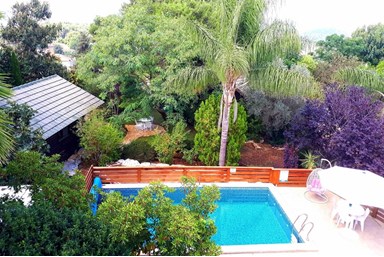 אוטופיה - חצר ובריכה