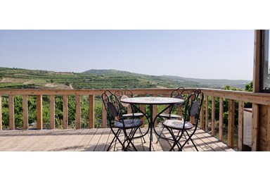 עמרו צימר - הבריכה והחצר