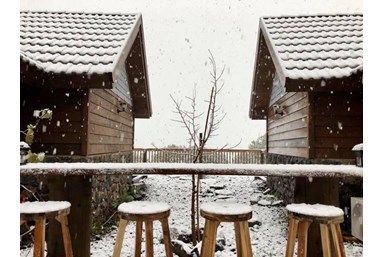 בקתות יער אודם - החצר הפרטית