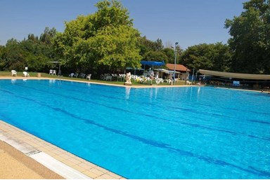 מכחול ורוח - בסביבה