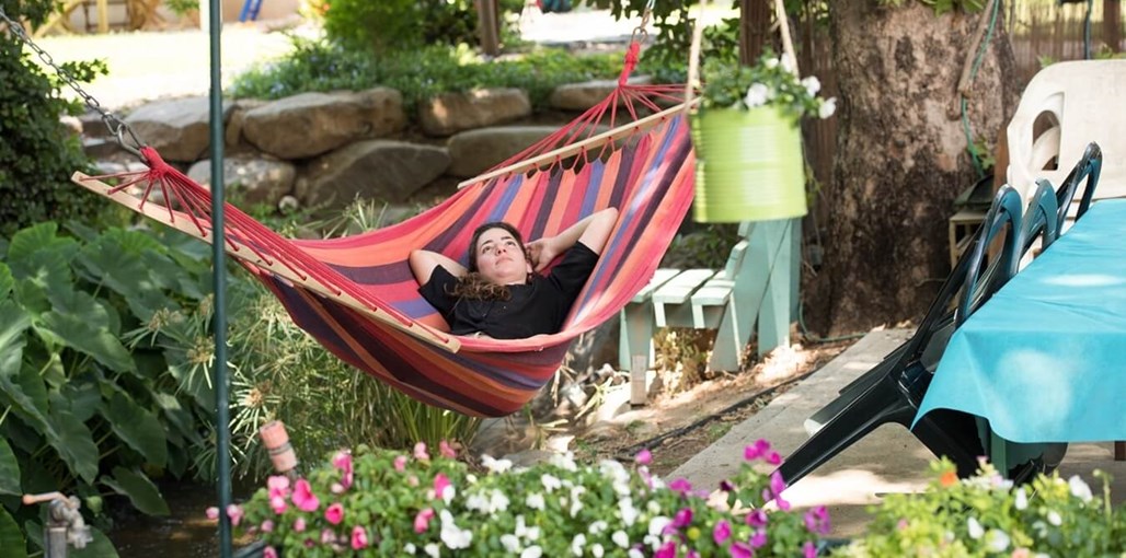 מכחול ורוח מכחול ורוח - חצר וסביבה (11).jpg