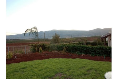 סוויטות שלווה ונוי - החצר והנוף