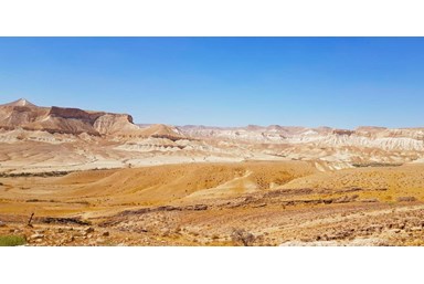 רגעים במדבר - אטרקציות