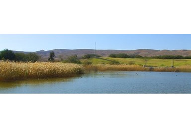 רגעים במדבר - אטרקציות