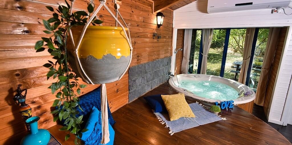 אינדיגולן זוגית (4).jpg