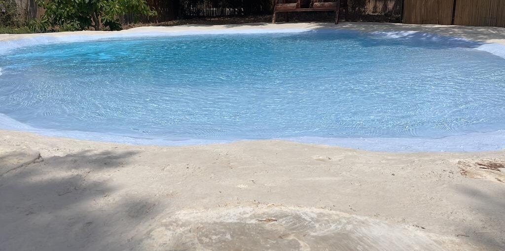 משק נוי eea878b9-3230-459c-b2b5-8805da3e8d75.jpg