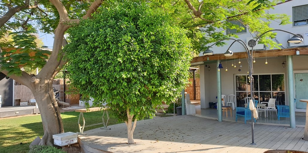 משק פורת WhatsApp Image 2019-10-31 at 13.36.56.jpeg