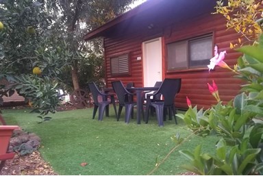 בצל הפקאן קשת - החצר והסביבה