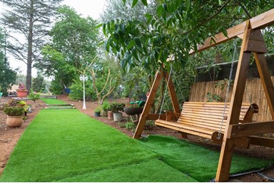 בצל הפקאן קשת - חרמון