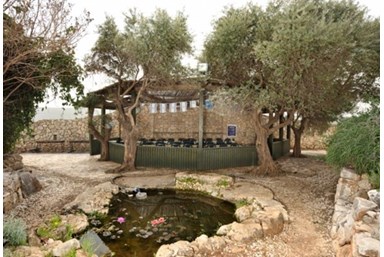 נפלאות הכנרת