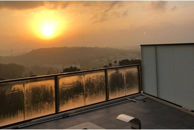 זריחה בזכרון - הבריכה והסביבה