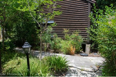 אצל אבנר - החצר