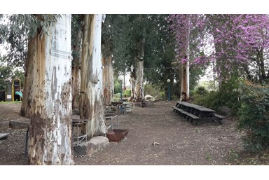 קמפינג נווה קרני