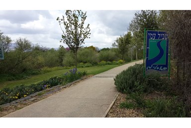 קמפינג נווה קרני - החצר והסביבה