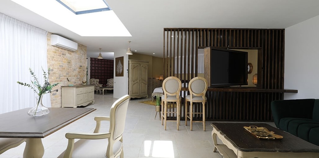 צל האילן עץ הזית (4).JPG