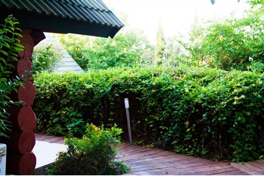 אלומה בכפר - בקתות הגלריה