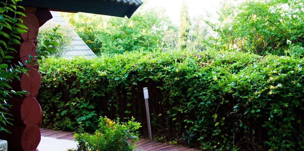 אלומה בכפר בקתות גלריה (13).jpg