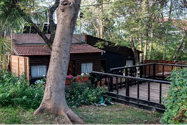 כנרת לודג'ינג - Kinneret Lodging - החצר הכפרית