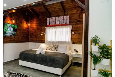 כנרת לודג'ינג - Kinneret Lodging - דוב Love Suite
