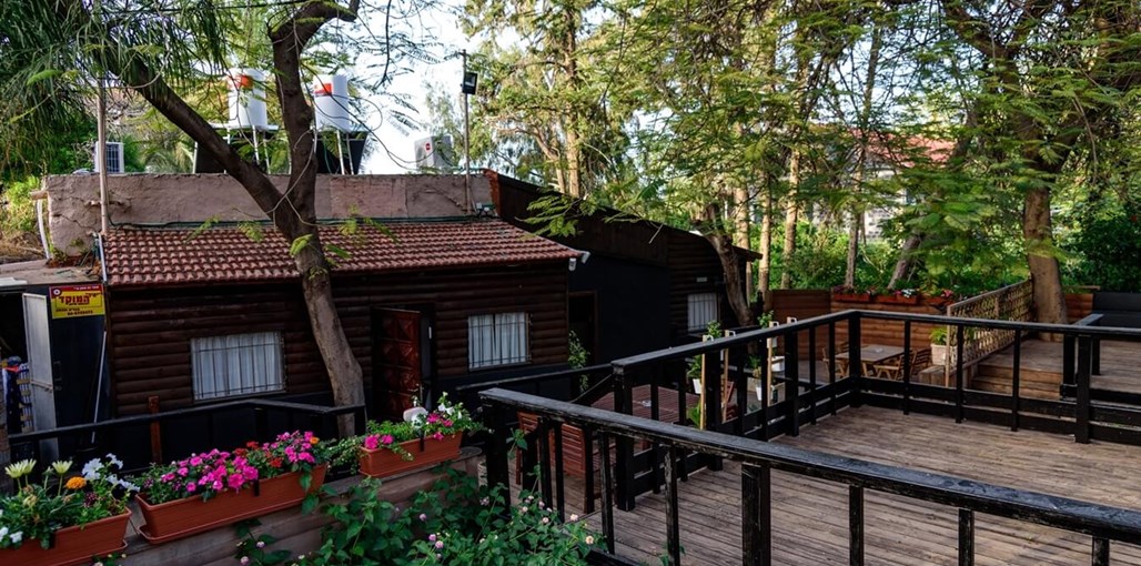 כנרת לודג'ינג - Kinneret Lodging חצר ומתחם (26).jpg