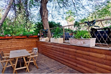 כנרת לודג'ינג - Kinneret Lodging - החצר הכפרית