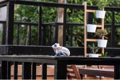 כנרת לודג'ינג - Kinneret Lodging - החצר הכפרית