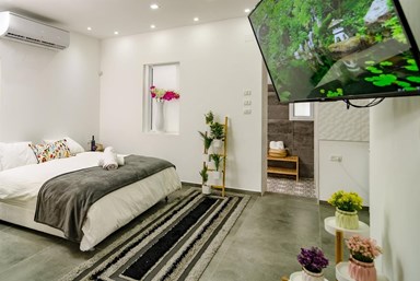 כנרת לודג'ינג - Kinneret Lodging - פנדה Family Suite