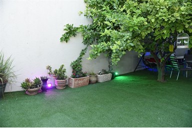 יחידת אירוח גל - הגינה הפרטית