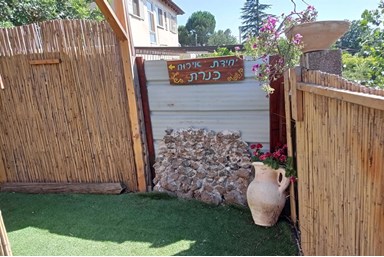 רגוע בגולן - הבריכה והחצר