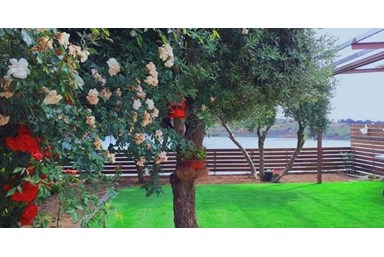 צימר וידאד - בריכת רם - מרפסת הגן והאגם