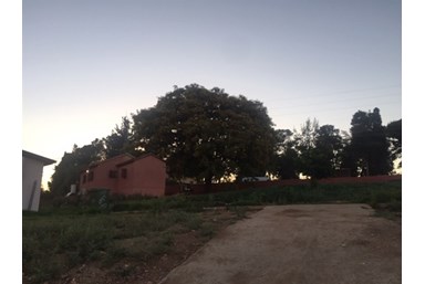 נופש כפרי בלוזית - החצר והבריכה