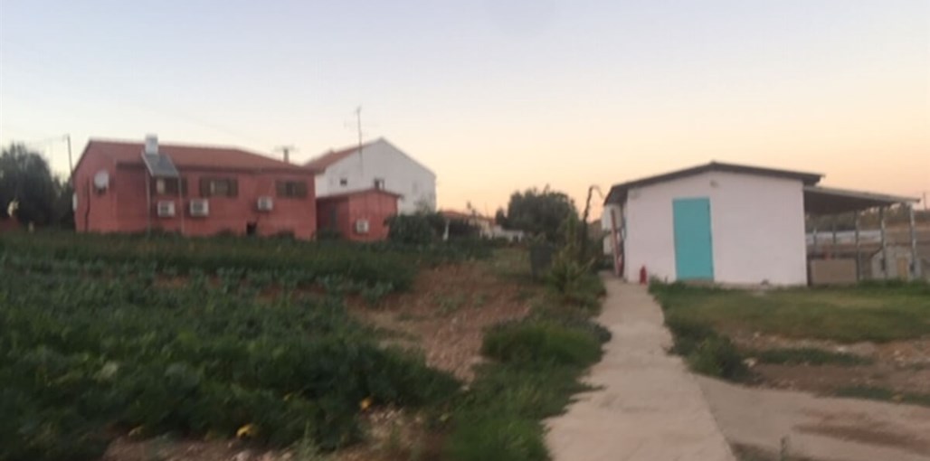 נופש כפרי בלוזית IMG_3902.JPG