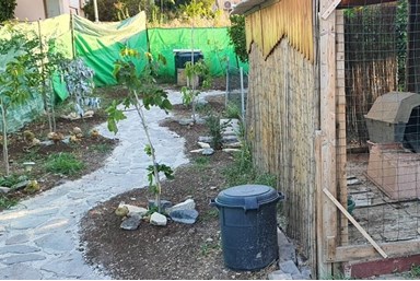 אורן מול הרים - הסביבה