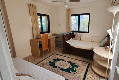 אורן מול הרים