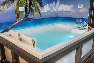 ניו גולד - הסוויטה