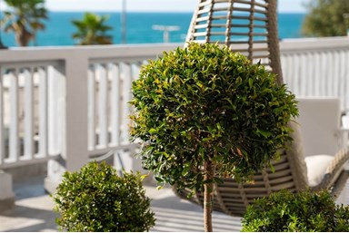 מלון הרמיטאז' - מתקני המלון והסביבה